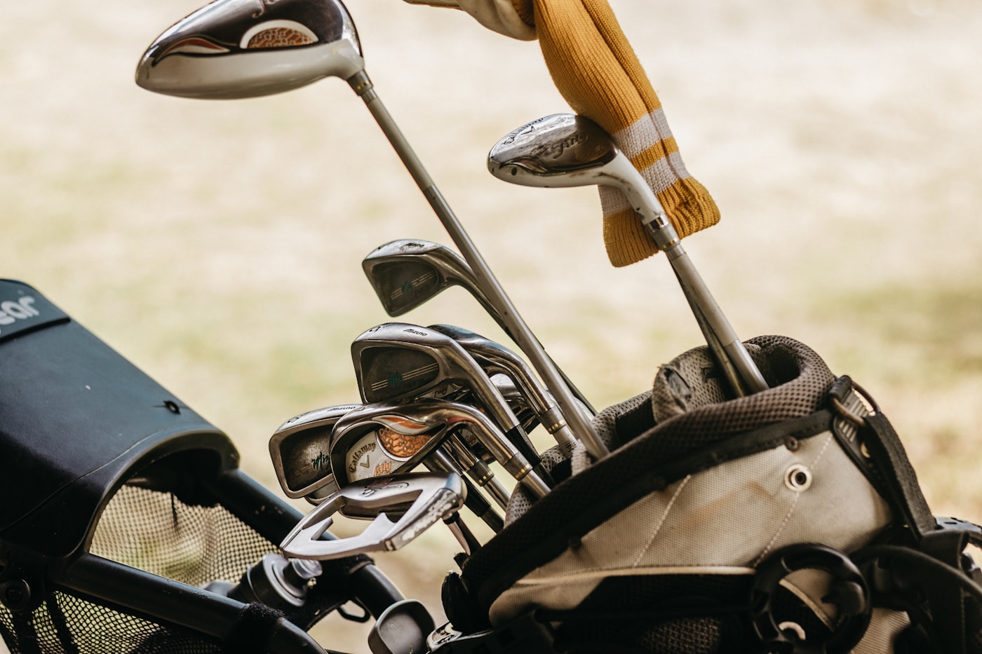 PING Pioneer vs Callaway Quantum ORG 14: Bigger Premium Cart Bag or Smarter Access-First Buy?