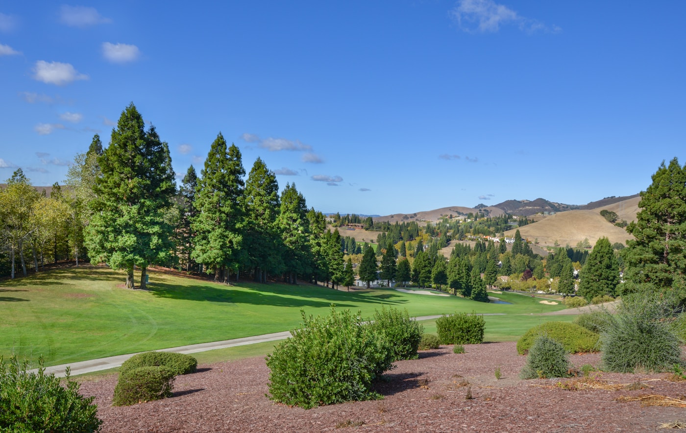 How to Play Blind Tee Shots Without Steering It: The Landmark-and-12-Yard Window