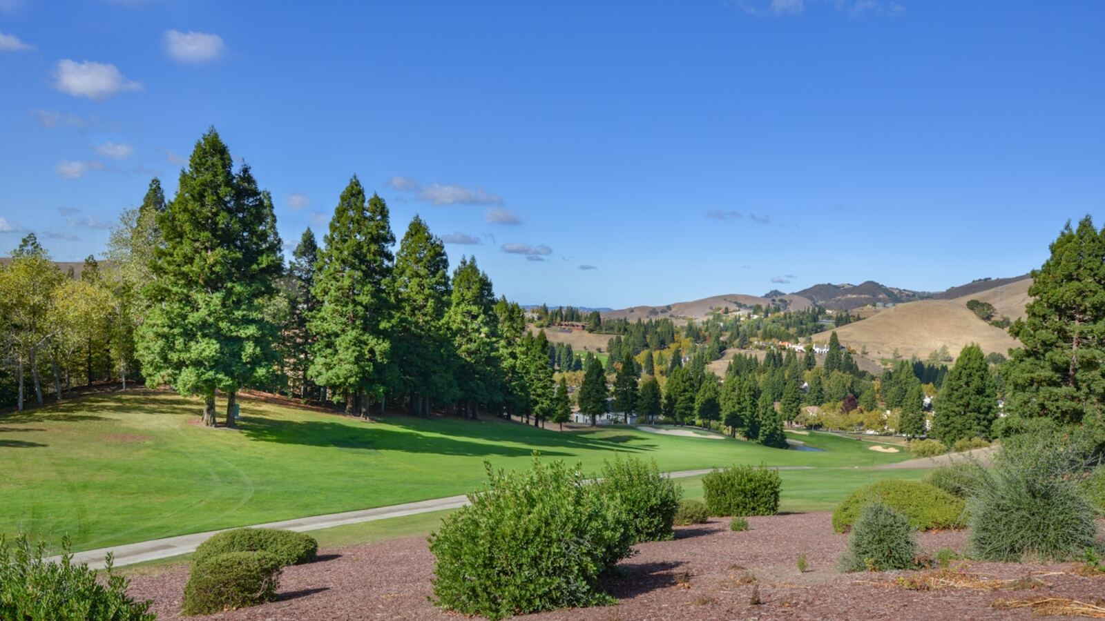 How to Play Split-Fairway Tee Shots Without Picking the Dumb Side: The Trouble-First Route Map